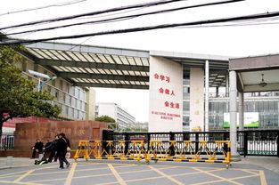 大廠不是廠,大廠是我們的家園