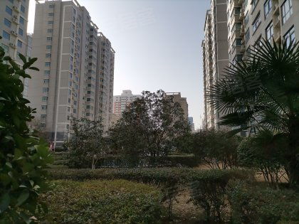 啟福華都小區(qū)優(yōu)點 不足,啟福華都小區(qū)怎么樣,啟福華都小區(qū)周邊房產(chǎn)中介經(jīng)紀人評價 鄭州安居客