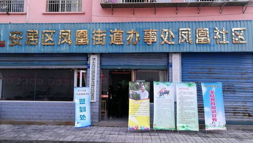 遂寧市婦聯精品家庭教育講座走進安居農村小學 街道社區 城市中學