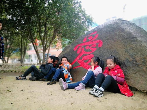 新縣中小學春色合集 春天在新縣的各大校園里