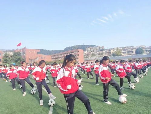 新縣啟福小學2020年秋季運動會隆重舉行