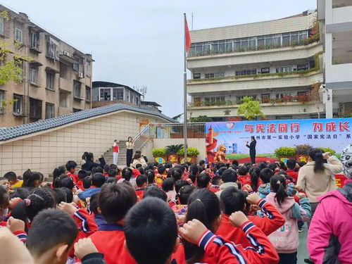 陽光護苗 與法 童 行 萬秀法院開展 12 4 國家憲法日法治宣傳活動