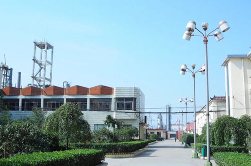 臨潁 鐵西化肥廠拆了,幾代人的記憶就這樣沒(méi)有了