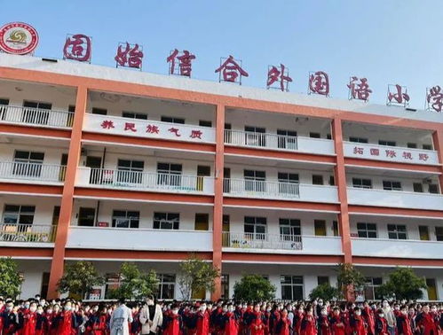 固始信合外國語小學食品安全教育活動