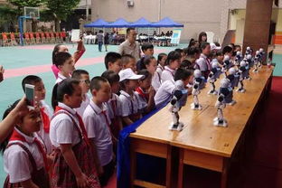 東廳門小學(xué)舉行 慶六一表彰大會(huì)暨科技節(jié)開幕式 活動(dòng)