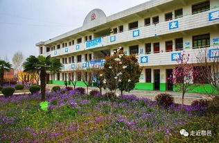 鏡頭里的戶縣美麗校園 四