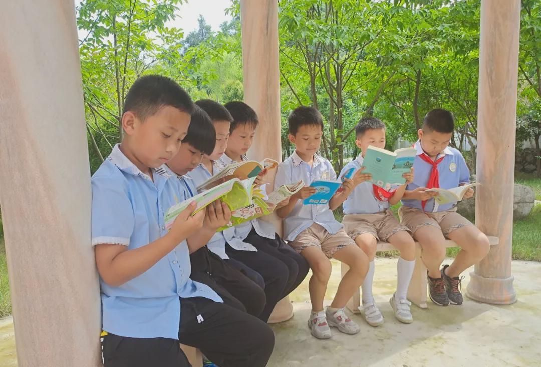 新縣啟福小學2021年秋季一年級新生招生公告