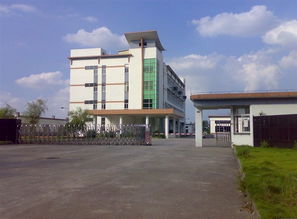 廣州南沙區(qū)重點(diǎn)小學(xué)有哪些,廣州南沙區(qū)重點(diǎn)小學(xué)排名一覽