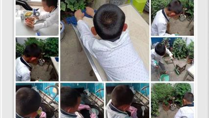 新縣啟福小學舉行勞動教育系列活動