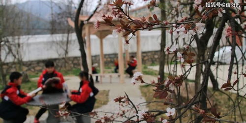 新縣中小學開學一周掠影