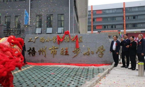 梧州工廠路小學(xué)首個(gè)分校區(qū)——啟福小學(xué)今日正式開學(xué)，校園美景引人贊嘆